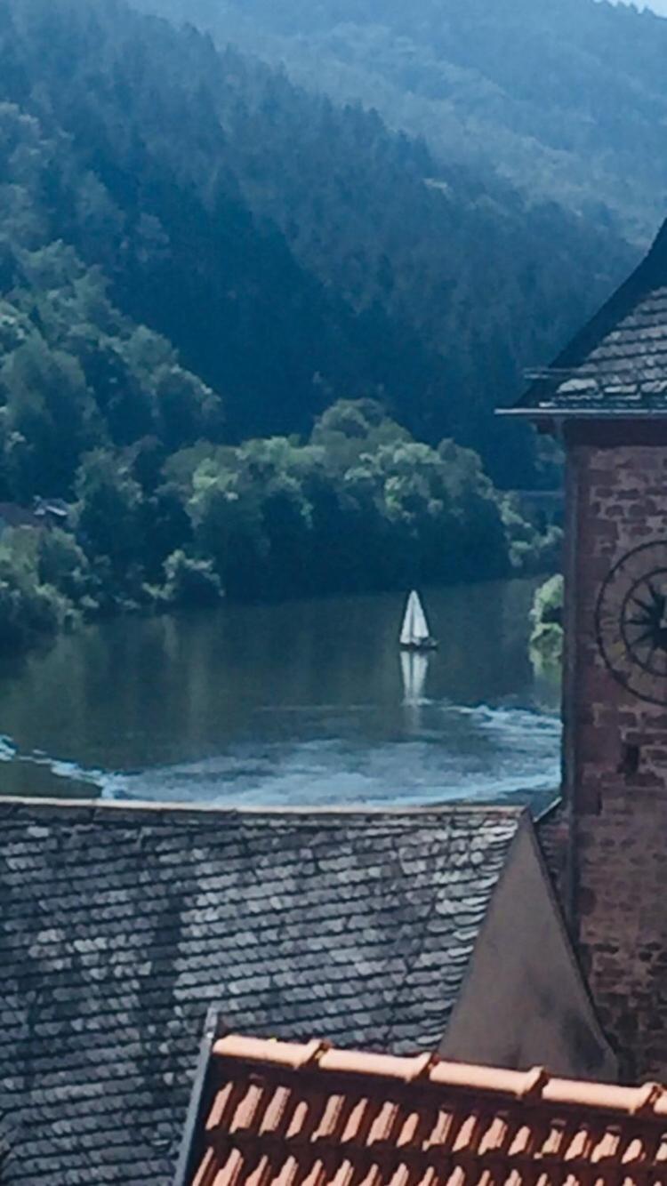 Natur Und Neckarblick Bei Heidelberg هيرشهورن المظهر الخارجي الصورة
