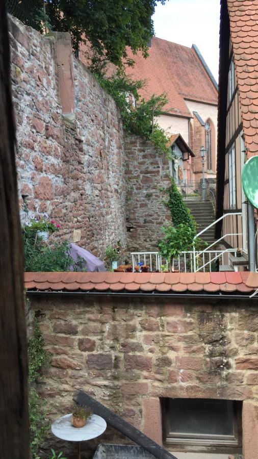 Natur Und Neckarblick Bei Heidelberg هيرشهورن المظهر الخارجي الصورة