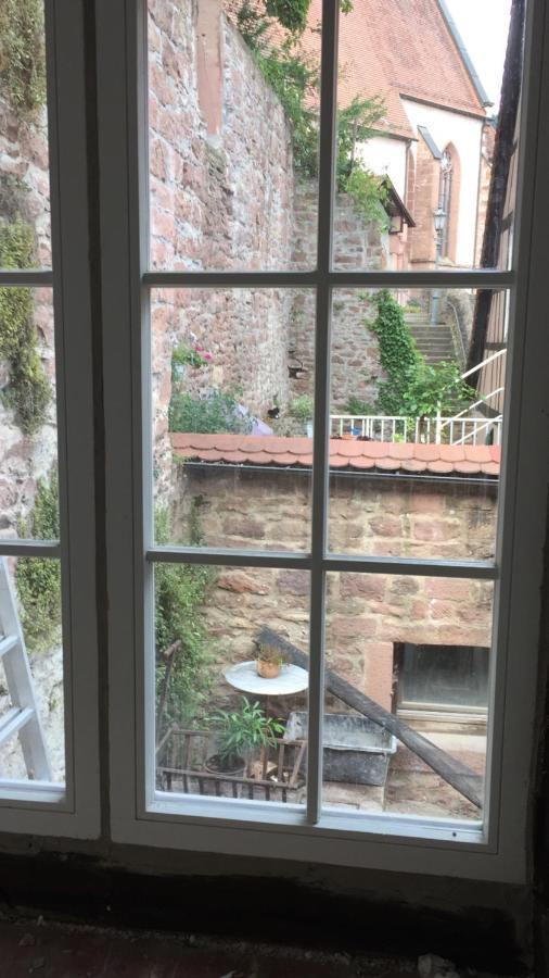 Natur Und Neckarblick Bei Heidelberg هيرشهورن المظهر الخارجي الصورة
