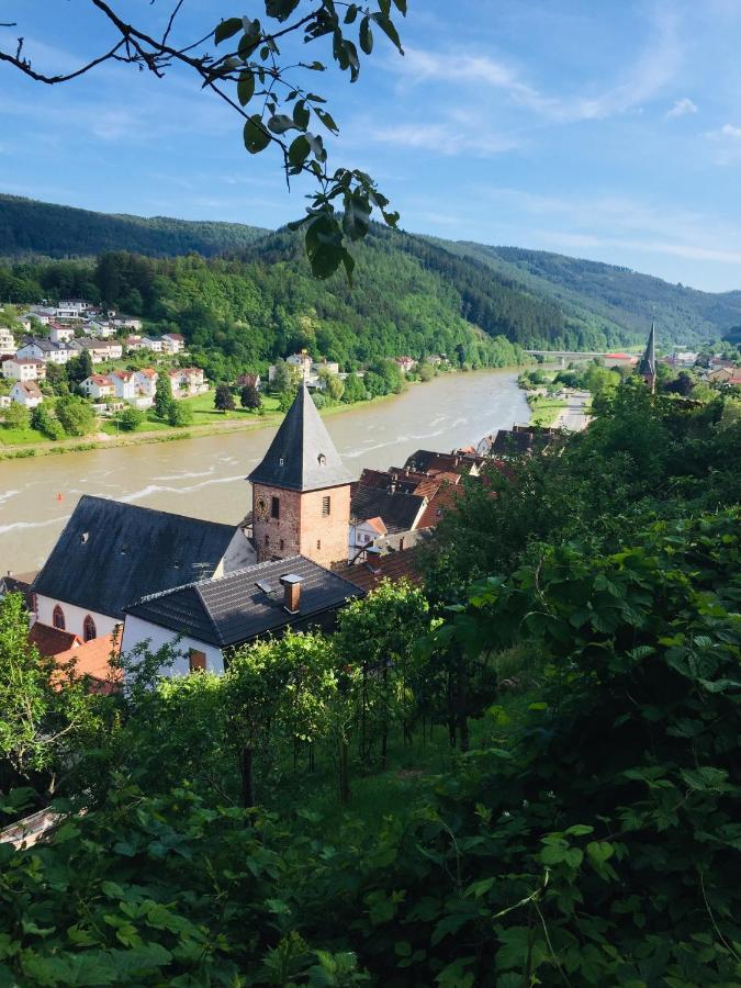 Natur Und Neckarblick Bei Heidelberg هيرشهورن المظهر الخارجي الصورة