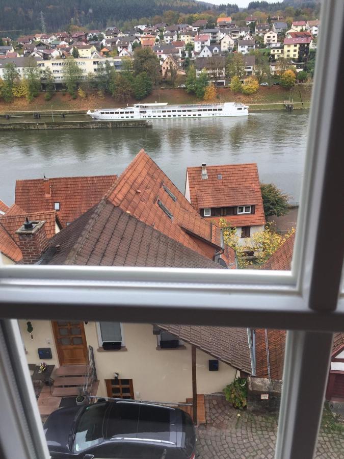 Natur Und Neckarblick Bei Heidelberg هيرشهورن المظهر الخارجي الصورة