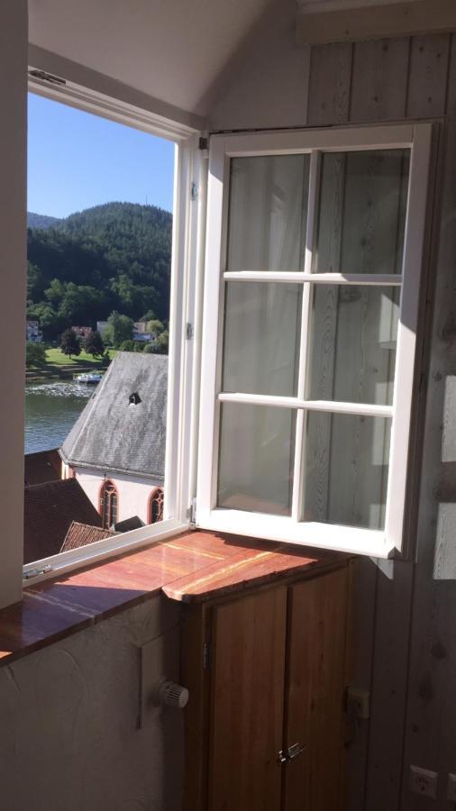 Natur Und Neckarblick Bei Heidelberg هيرشهورن المظهر الخارجي الصورة