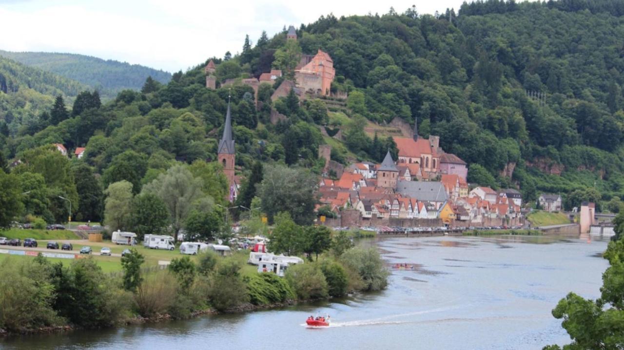 Natur Und Neckarblick Bei Heidelberg هيرشهورن المظهر الخارجي الصورة
