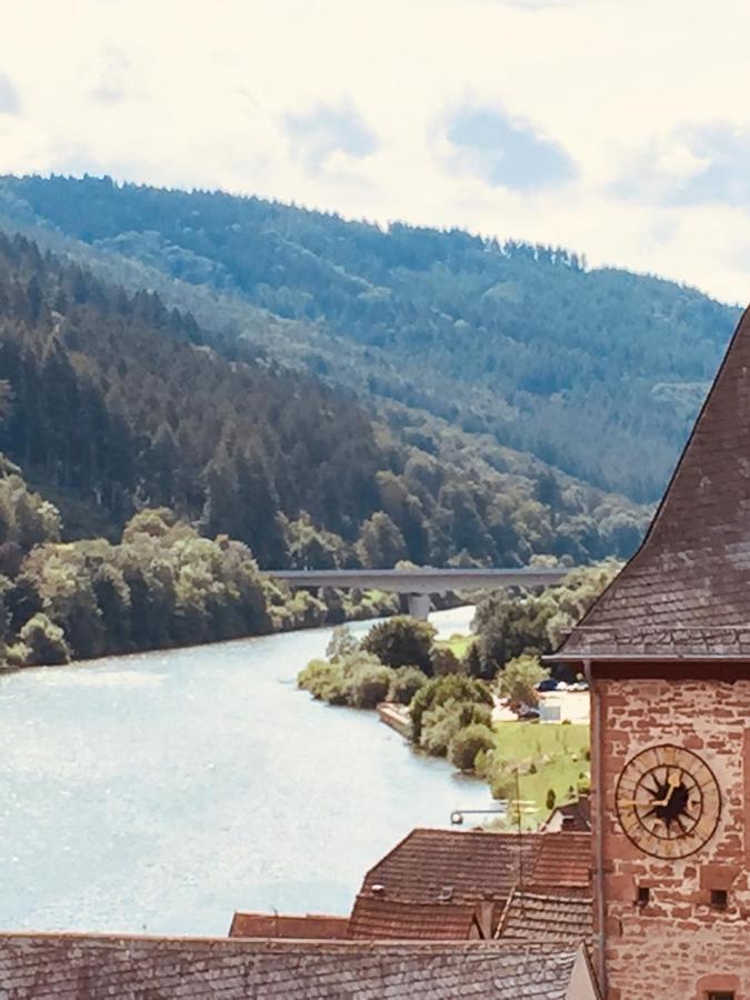 Natur Und Neckarblick Bei Heidelberg هيرشهورن المظهر الخارجي الصورة