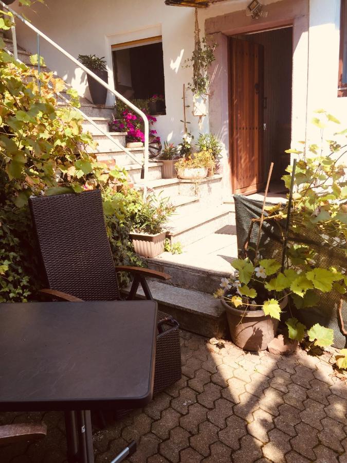 Natur Und Neckarblick Bei Heidelberg هيرشهورن المظهر الخارجي الصورة