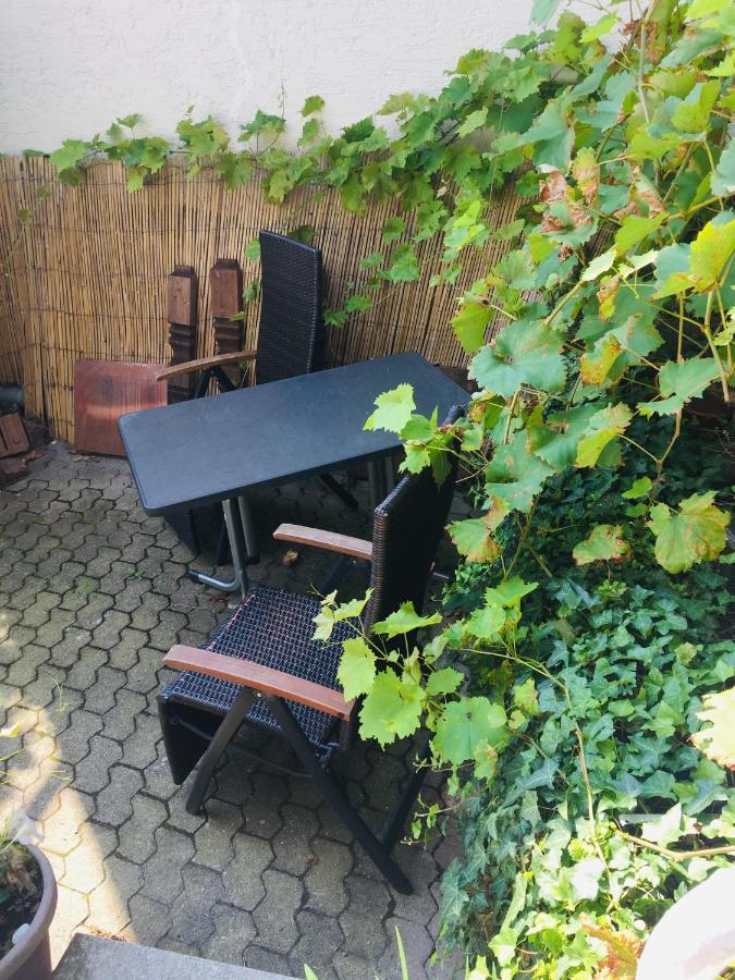 Natur Und Neckarblick Bei Heidelberg هيرشهورن المظهر الخارجي الصورة