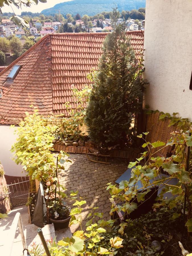 Natur Und Neckarblick Bei Heidelberg هيرشهورن المظهر الخارجي الصورة