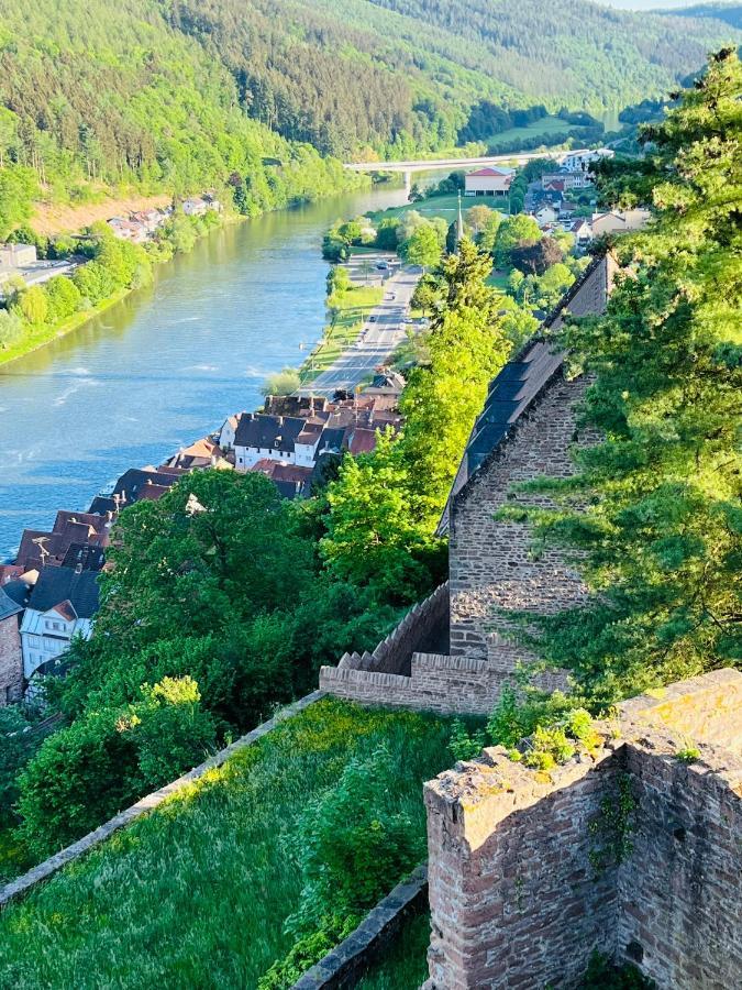 Natur Und Neckarblick Bei Heidelberg هيرشهورن المظهر الخارجي الصورة