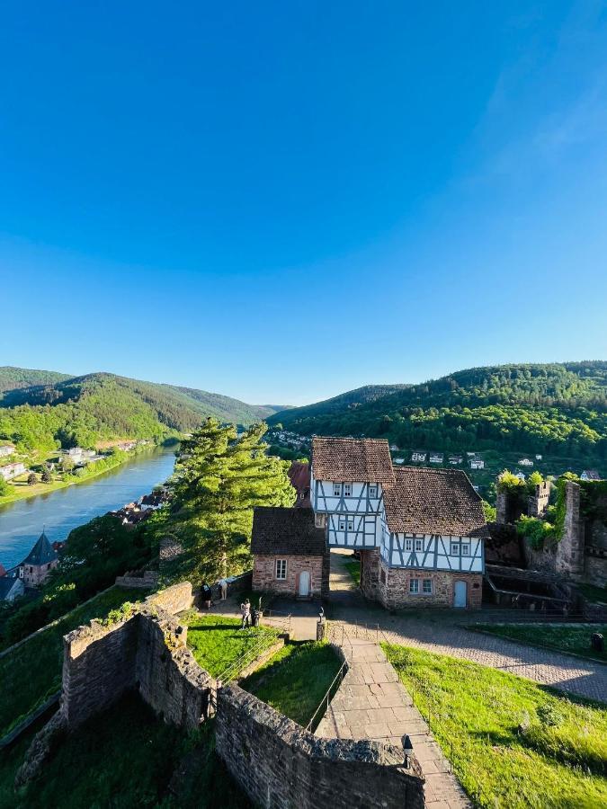 Natur Und Neckarblick Bei Heidelberg هيرشهورن المظهر الخارجي الصورة
