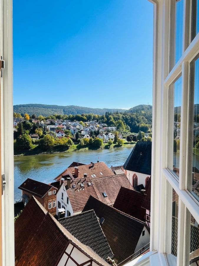 Natur Und Neckarblick Bei Heidelberg هيرشهورن المظهر الخارجي الصورة