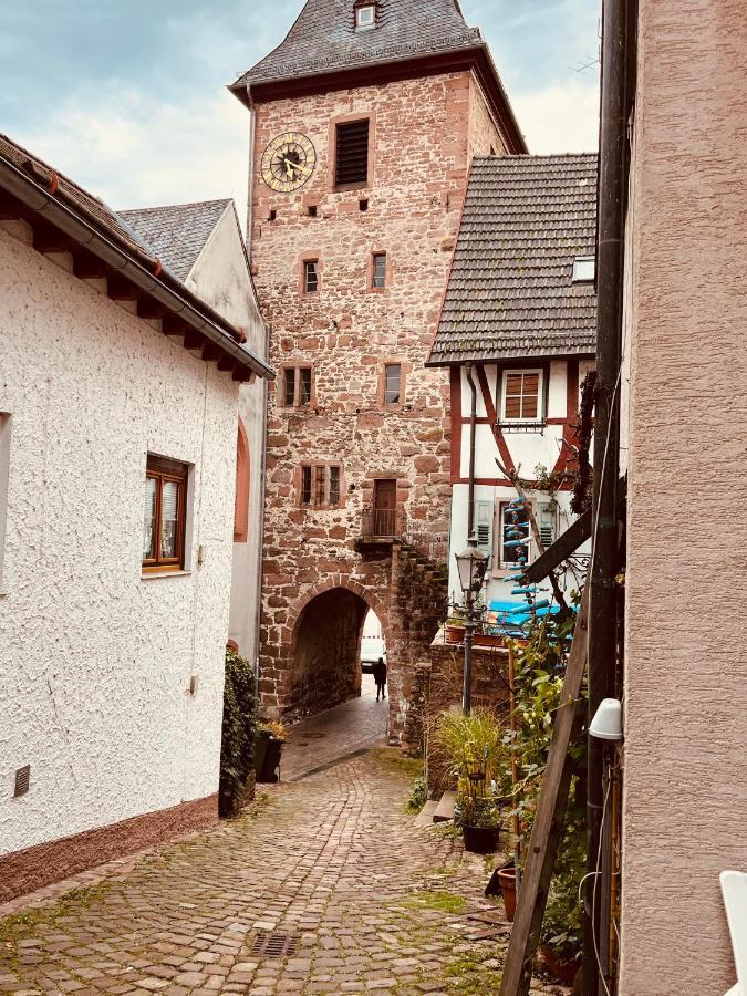Natur Und Neckarblick Bei Heidelberg هيرشهورن المظهر الخارجي الصورة