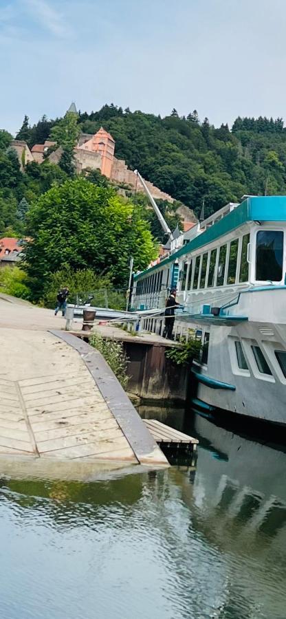 Natur Und Neckarblick Bei Heidelberg هيرشهورن المظهر الخارجي الصورة