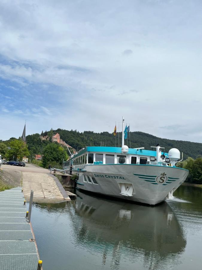 Natur Und Neckarblick Bei Heidelberg هيرشهورن المظهر الخارجي الصورة