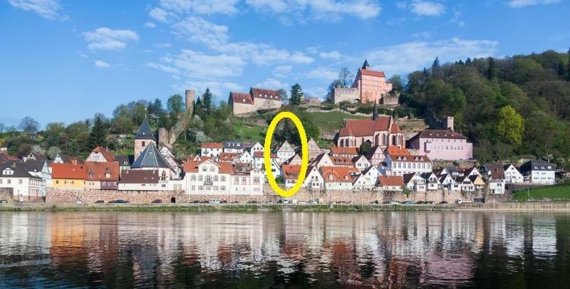 Natur Und Neckarblick Bei Heidelberg هيرشهورن المظهر الخارجي الصورة