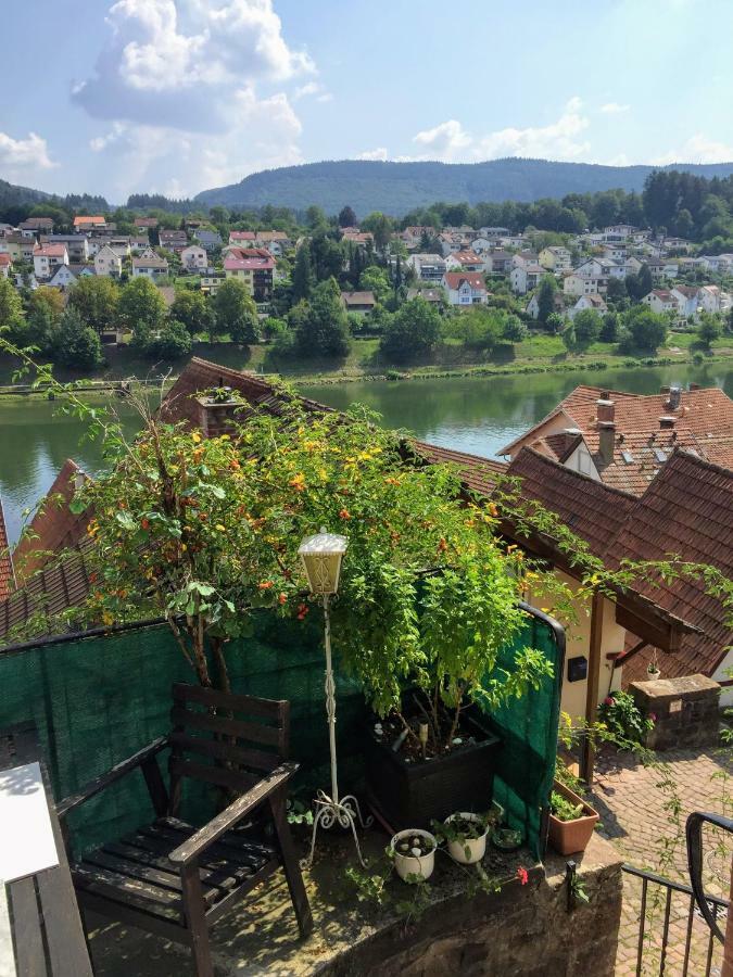 Natur Und Neckarblick Bei Heidelberg هيرشهورن المظهر الخارجي الصورة