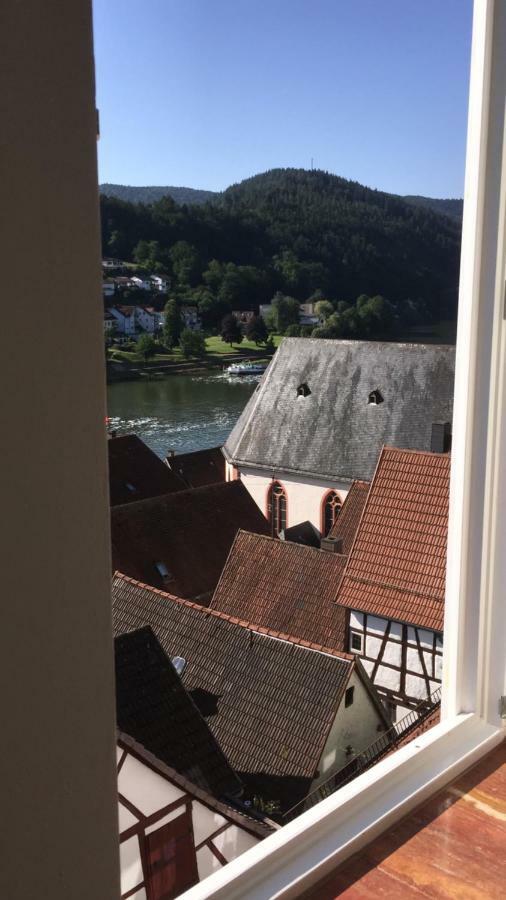 Natur Und Neckarblick Bei Heidelberg هيرشهورن المظهر الخارجي الصورة