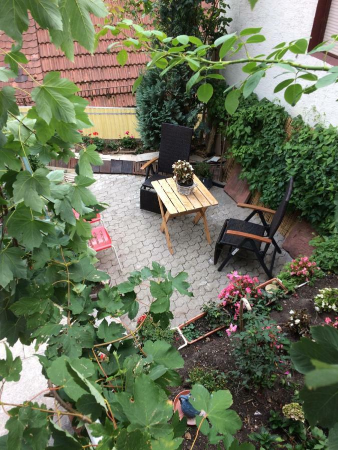 Natur Und Neckarblick Bei Heidelberg هيرشهورن المظهر الخارجي الصورة